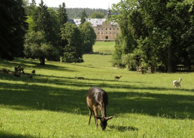 Wildpark Schloss Tambach